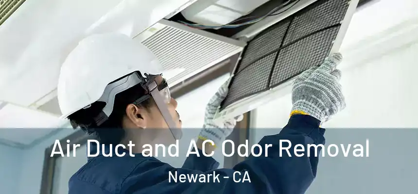 Air Duct and AC Odor Removal Newark - CA