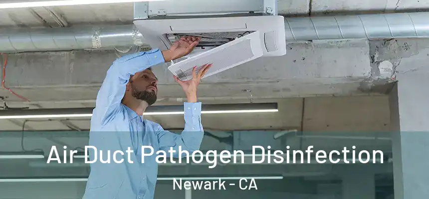  Air Duct Pathogen Disinfection Newark - CA