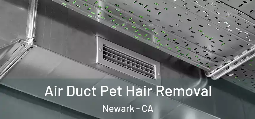  Air Duct Pet Hair Removal Newark - CA