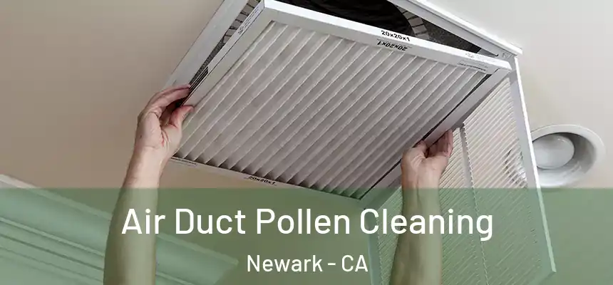  Air Duct Pollen Cleaning Newark - CA