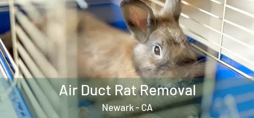  Air Duct Rat Removal Newark - CA