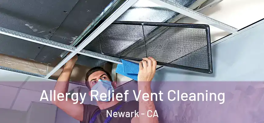 Allergy Relief Vent Cleaning Newark - CA
