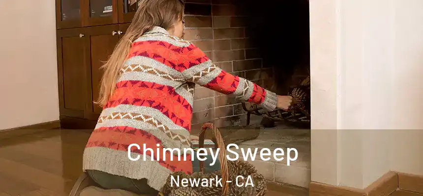  Chimney Sweep Newark - CA