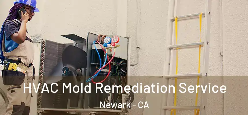 HVAC Mold Remediation Service Newark - CA