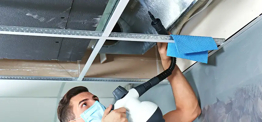 Our Air Duct Rodent Removal Services in Newark, CA