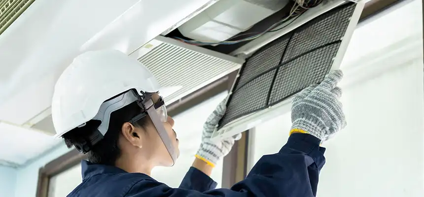 Our Lint Trap Cleaning Service Services in Newark, CA