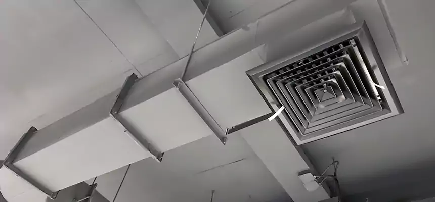 Our Pest Removal From Ducts Services in Newark, CA