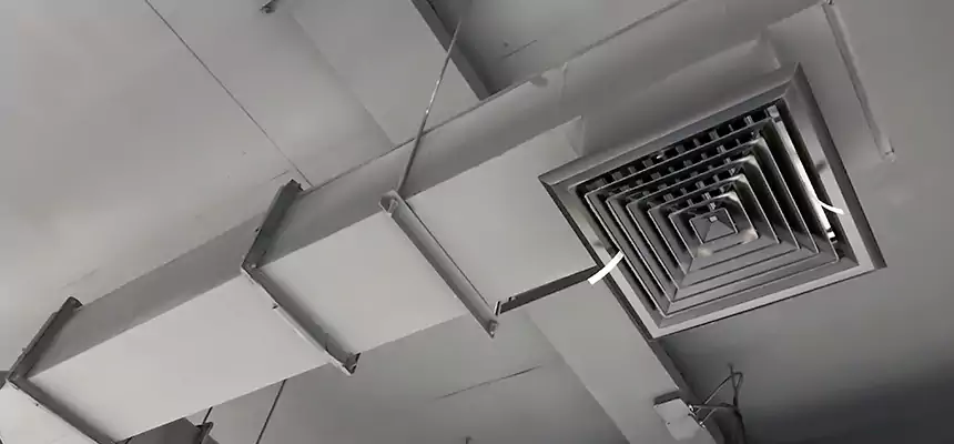 Our Rodent Droppings In Vents Services in Newark, CA