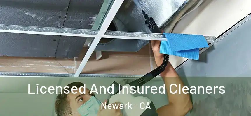 Licensed And Insured Cleaners Newark - CA
