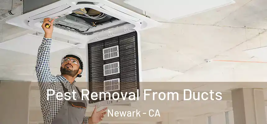 Pest Removal From Ducts Newark - CA