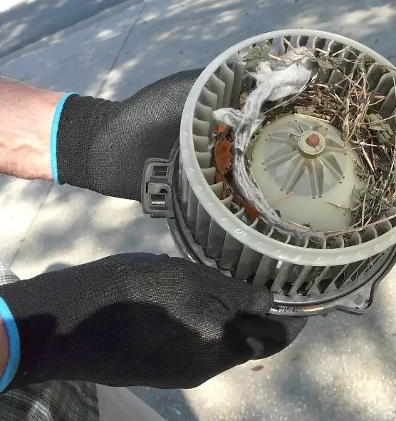 About Air Duct Mice Removal in Newark, CA