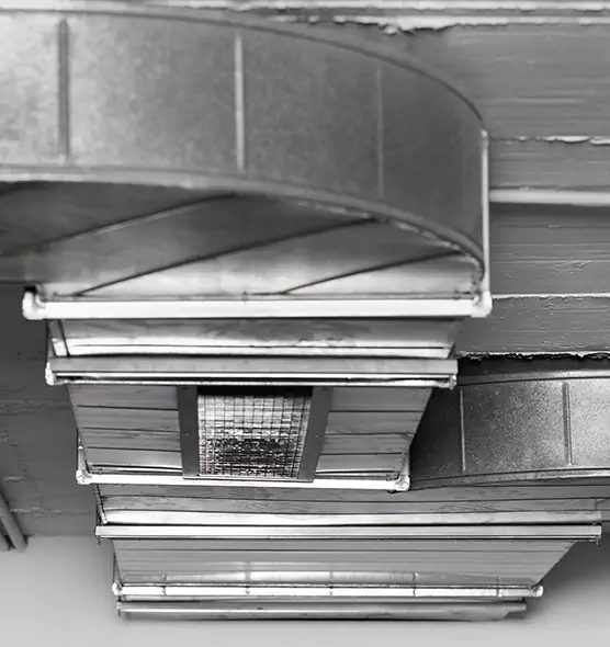 Professional Air Duct Pet Hair Removal in Newark, CA