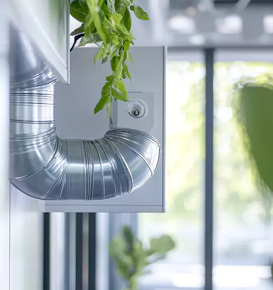 Professional Eco-Friendly Duct Cleaning Services in Newark, CA