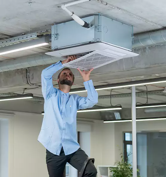 Advanced Rodent Droppings In Vents in Newark, CA