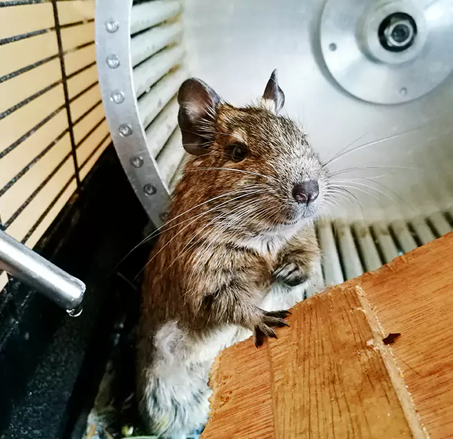 Why Homeowners & Businesses Trust Us Newark, CA?