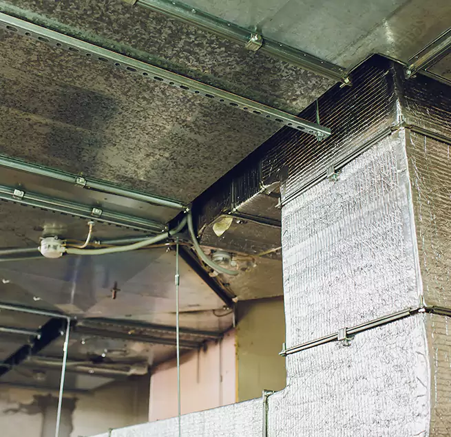 Why Homeowners & Businesses Trust Us in Newark, CA?